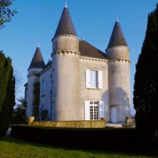 Фотографии мини отеля 
            Château Haute Roche