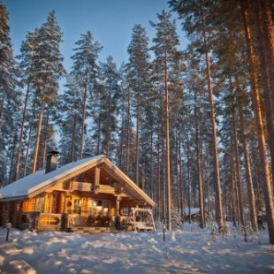 Фотография гостевого дома Laukkala Cottages Reindeers & Husky