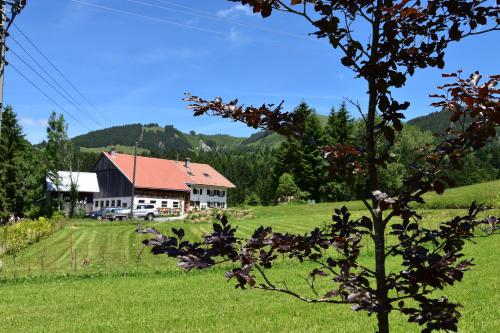Фотография апарт отеля Am Hof Jungholz