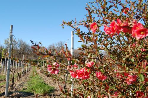 Фотография базы отдыха Laghi d'Insubria