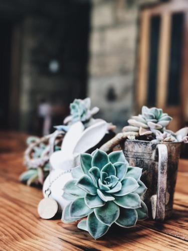 Фотография гостевого дома Makoadi Farms Guesthouse