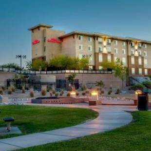 Фотографии гостиницы 
            Hilton Garden Inn Yuma Pivot Point