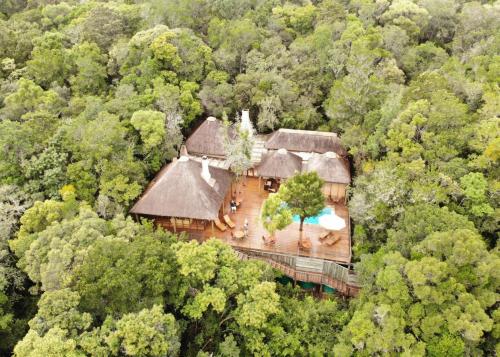 Фотография мини отеля Trogon House and Forest Spa