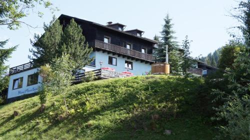 Фотография гостиницы Blue Mountain Hotel