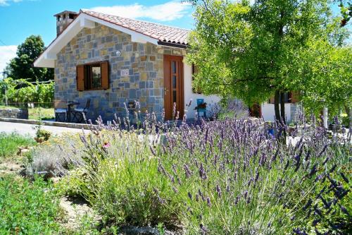 Фотография гостевого дома Holiday House Ida