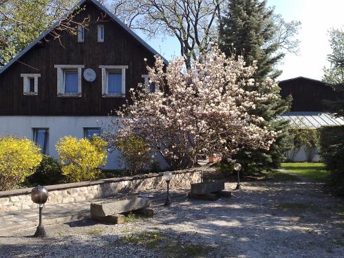 Фотография гостевого дома Całoroczny Dom Wakacyjny MAGNOLIA Miłków-Karpacz