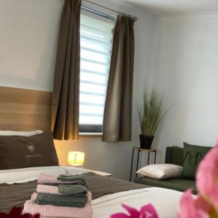 Фотография гостиницы Hotel The New Fox