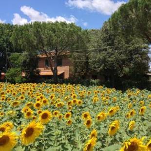 Фотографии базы отдыха 
            Agriturismo Salcino