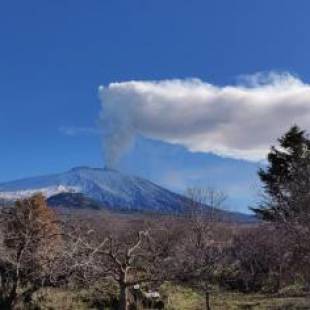 Фотографии гостевого дома 
            Mount Etna Chalet