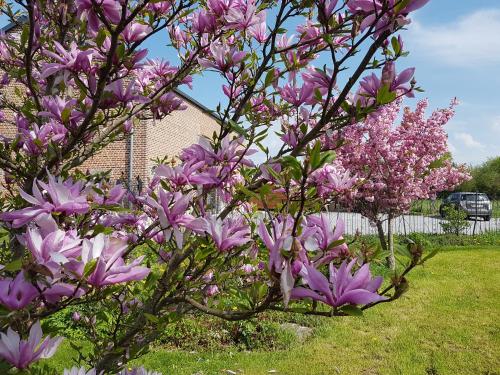 Фотография мини отеля Il etait une ferme