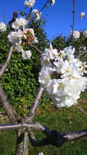 Фотография гостевого дома Les Valletes