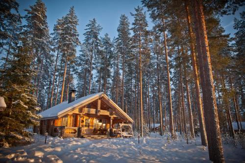 Фотографии гостевого дома 
            Laukkala Cottages Reindeers & Husky