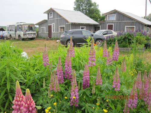 Фотография базы отдыха Клевый берег