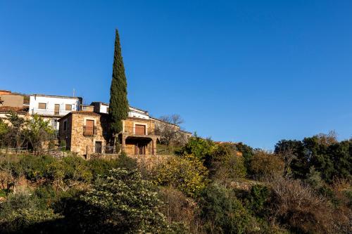 Фотографии гостевого дома 
            Casa Rural El Abeto