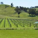 Фотография базы отдыха Blue House at Mountainside Wines