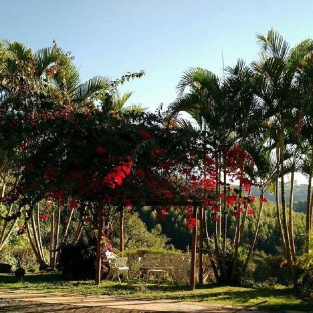 Фотографии гостевого дома 
            Fazenda Carpas Douradas