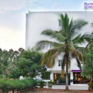 Фотография гостиницы Purple Cloud Hotel