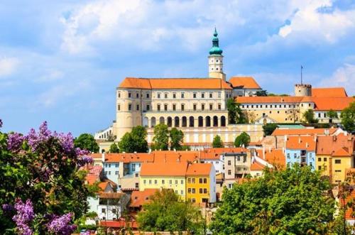 Фотографии апарт отеля 
            Pálava House Mikulov