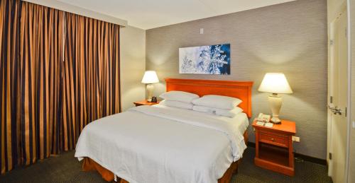 Фотография гостиницы Embassy Suites by Hilton Denver Central Park