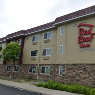 Фотография мини отеля Red Roof Inn Hayward