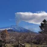 Фотография гостевого дома Mount Etna Chalet