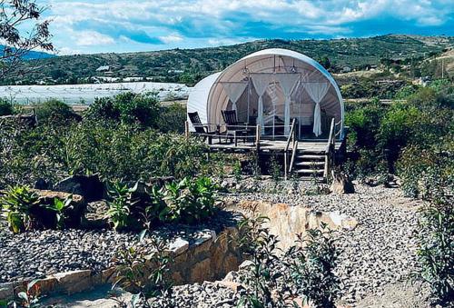 Фотографии базы отдыха 
            Origen Glamping