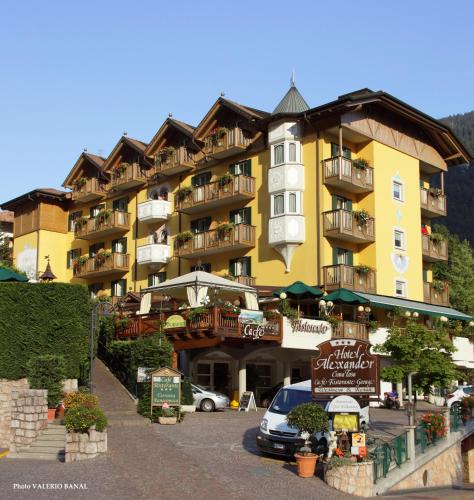 Фотография гостиницы Alexander Hotel Alpine Wellness Dolomites