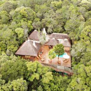 Фотографии мини отеля 
            Trogon House and Forest Spa