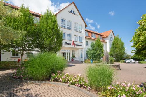 Фотография гостиницы Hotel Montana