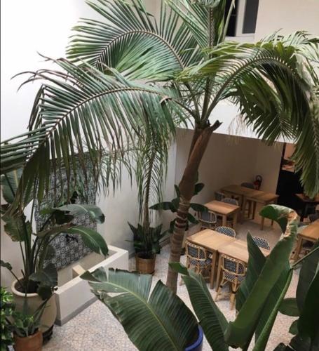 Фотография гостевого дома Douce Nuits