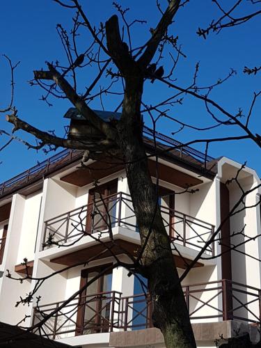 Фотография гостиницы Ольга