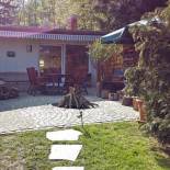 Фотография гостевого дома Holiday home in the beautiful Harz region with wood stove, large terrace, barbecue and fire pit