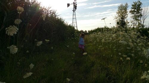 Фотография базы отдыха Agriturismo Lucchetta