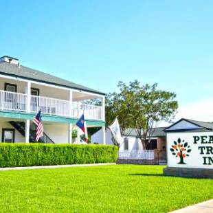 Фотографии гостиницы 
            Peach Tree Inn & Suites