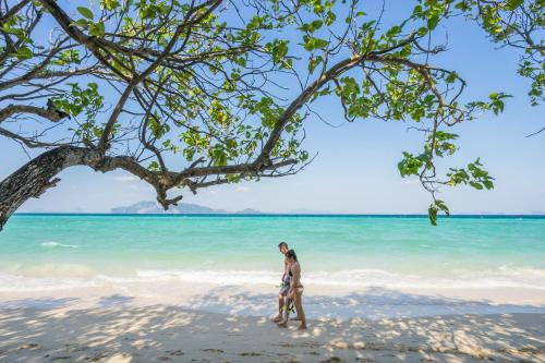 Фотографии гостиницы 
            The Sevenseas Resort Koh Kradan