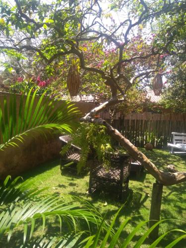 Фотография мини отеля Pousada Vila das Águas