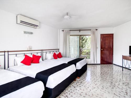 Фотография гостиницы Hotel San Carlos