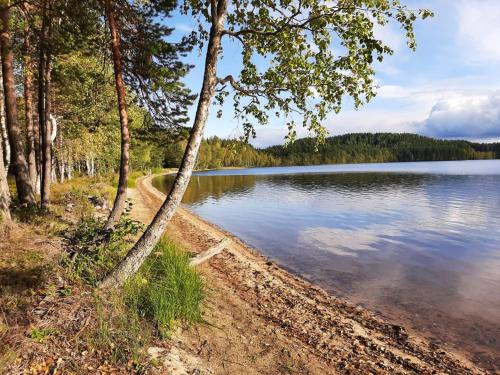 Фотография гостевого дома Гостевые домики В Карелии