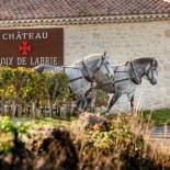 Фотография мини отеля CHATEAU CROIX DE LABRIE