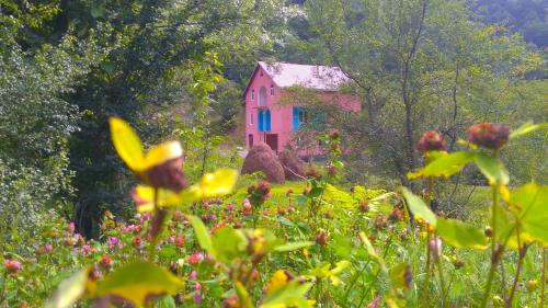 Фотографии гостевого дома 
            Guest House "Oasis"