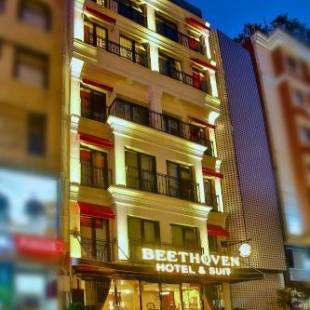 Фотографии гостиницы 
            Beethoven Hotel & Suite