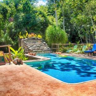 Фотографии гостиницы 
            Mariposa Jungle Lodge