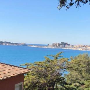 Фотографии гостевого дома 
            GITE plage du Lido, piscine chauffée, parking clos gratuit, climatisé, 4 pers