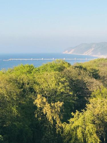 Фотография апарт отеля AQUAMARINA ONYX GOLD