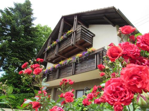 Фотография гостевого дома Gästehaus Wörner