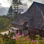 Фотография гостевого дома Koča Zlatorog - Velika planina