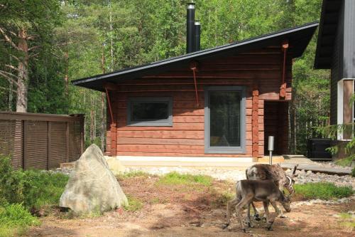 Фотографии гостевого дома 
            Syöte Cottage