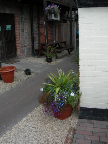 Фотография мини отеля The Swan