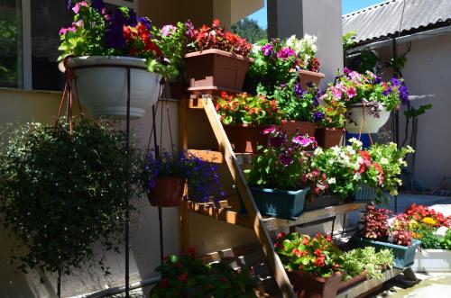 Фотография гостевого дома Уют