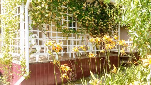 Фотография мини отеля Морская